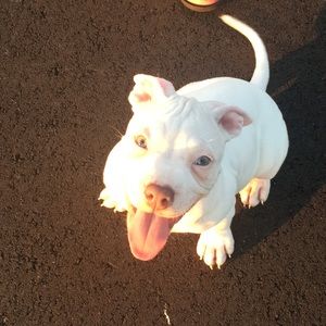 Meet your Posher, Jackson